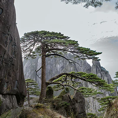 Huangshan’s Best Sunrise Spots and the Ideal Weather Conditions