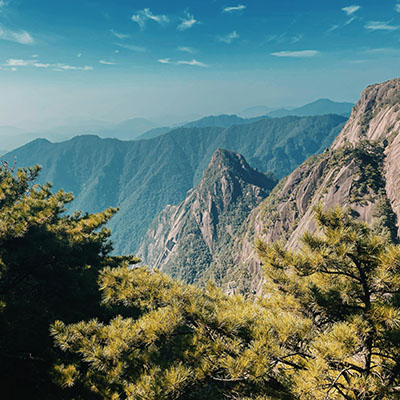 Huangshan’s Ancient Tea Culture