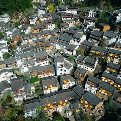 A Day in the Life of a Huangshan Tea Farmer